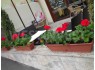 Во втором районе Будапешта предлагается на продажу кафе-ресторан