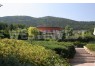 В зеленом будайском районе, на склоне горы Тештверхедь,  продается панорамная вилла.