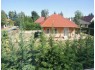 Дом в городе Шиофок